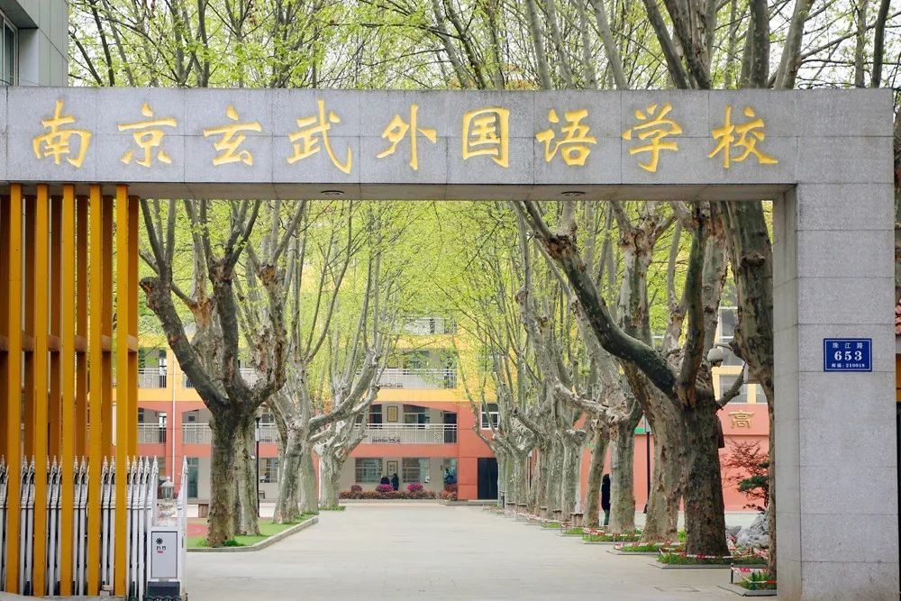 是南京玄武外国语学校和钟山集团合作投资的民办小学