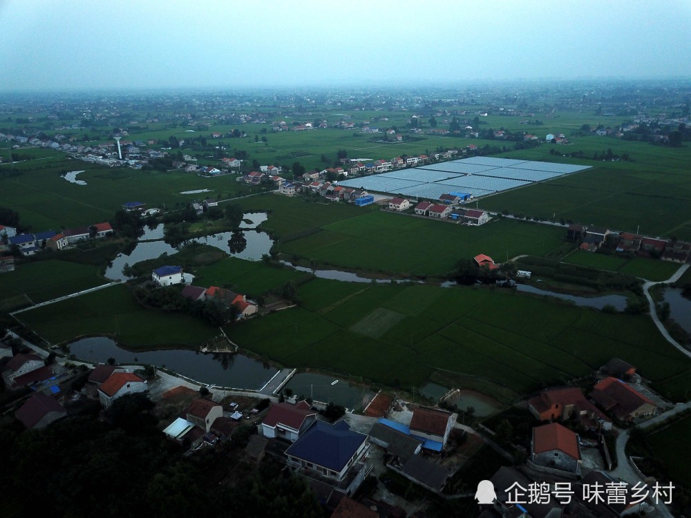 湖南澧水流域最大平原——澧县澧阳平原地区