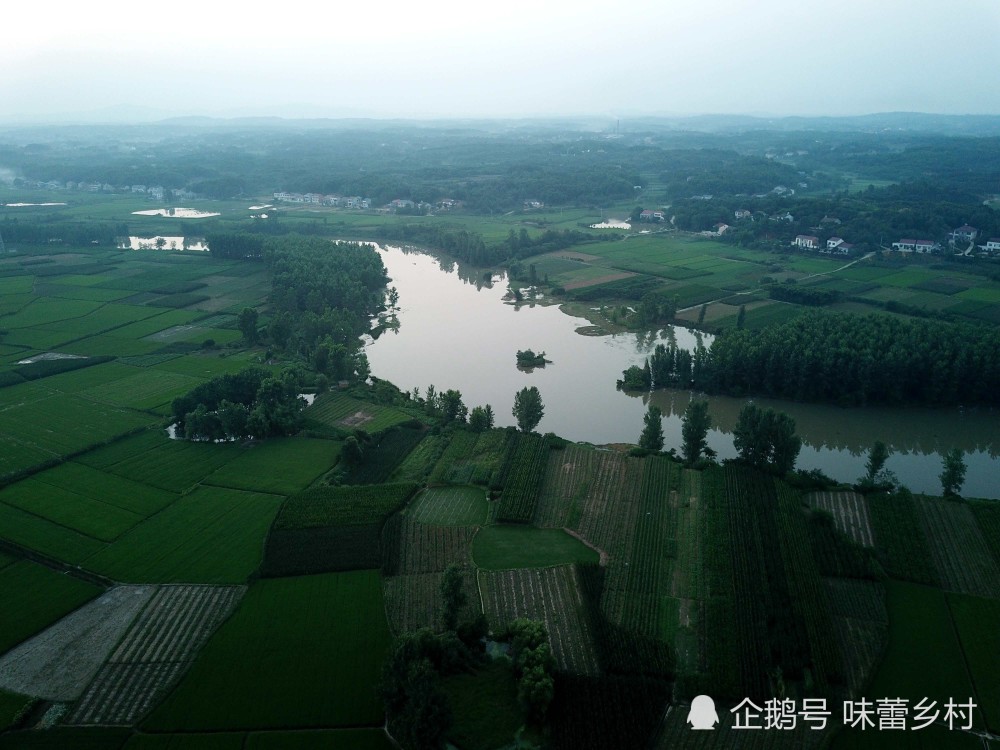湖南澧水流域最大平原——澧县澧阳平原地区