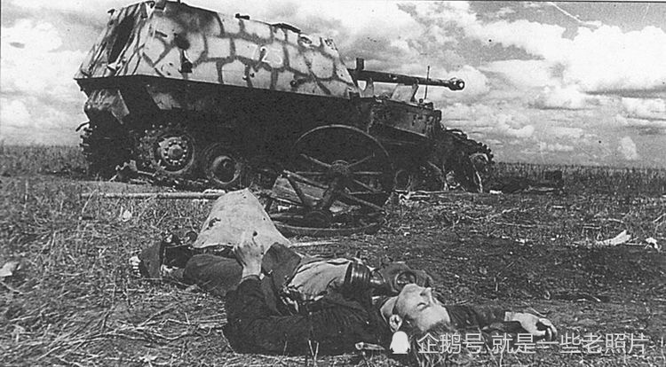 士兵倒下后无人埋还遭人偷盗,残酷的东线战场老照片
