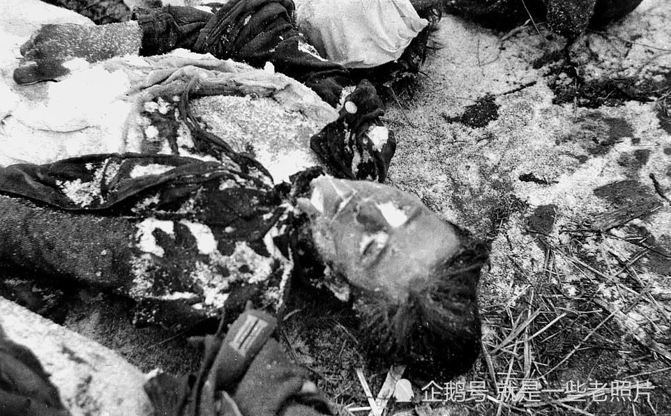 士兵倒下后无人埋还遭人偷盗,残酷的东线战场老照片