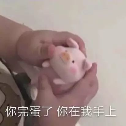 来自宝藏粉丝分享的可爱表情包