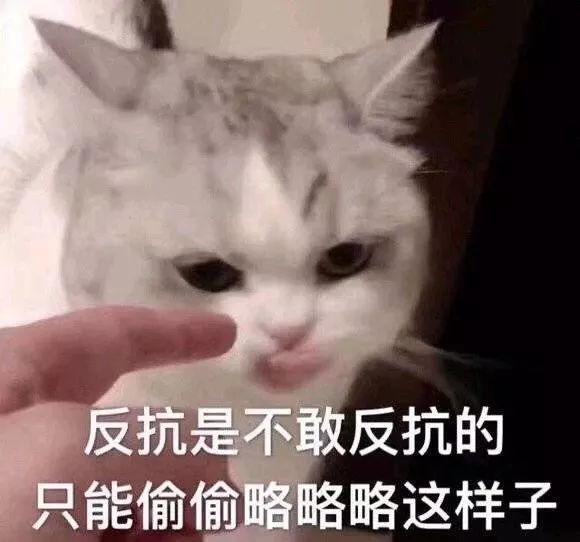 蠢萌可爱宠物表情包