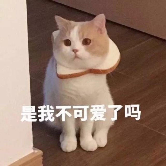 蠢萌可爱宠物表情包