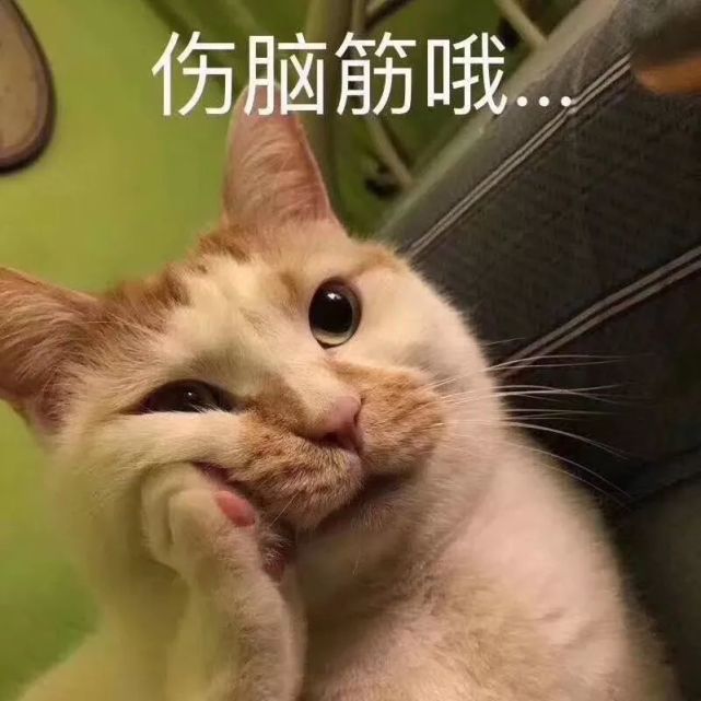 蠢萌可爱宠物表情包