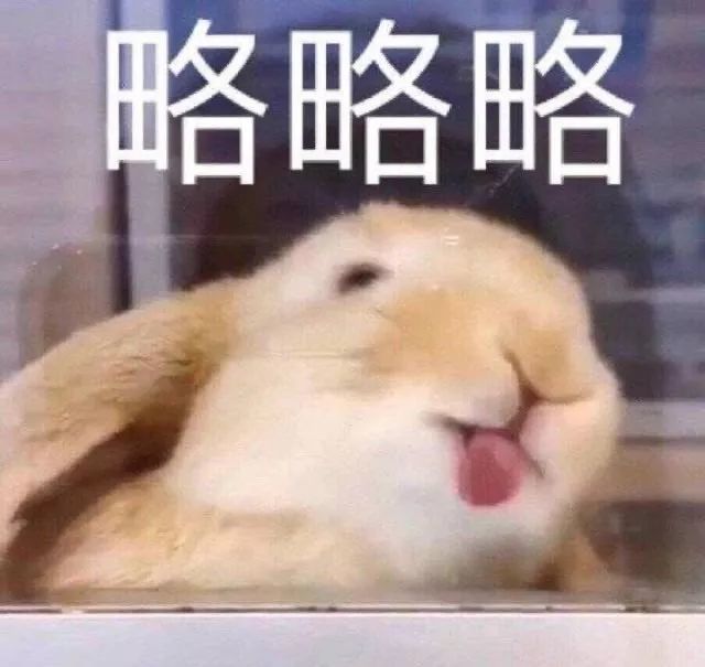 蠢萌可爱宠物表情包