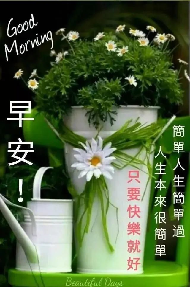 5月23日最新版早上暖心祝福语句,早晨问候漂亮图片表情