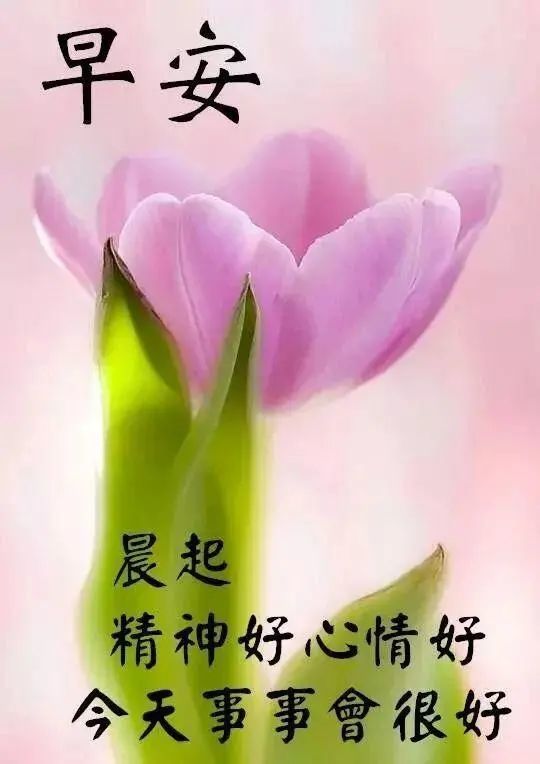 清晨最新早安祝福语句,早晨很美的问候祝福图片