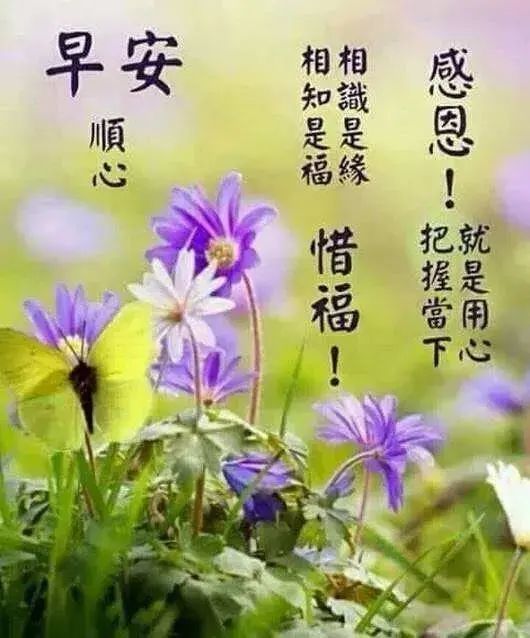 2021年5月早安图片,2020年早安高档图片 2021年5月23日早安心语励志经典语录 早上好祝福问候语句子