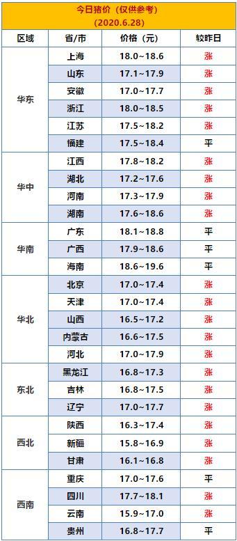 今日猪价-最新猪价,猪价冲天上涨