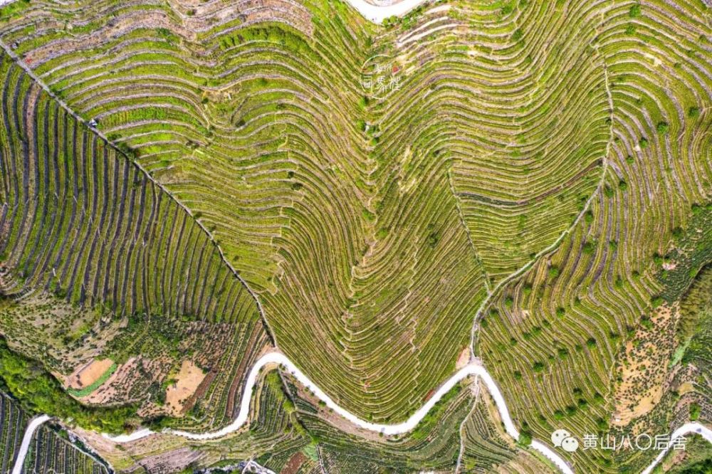 蜈蚣岭:敢叫日月换新天的歙南 高山千亩梯田