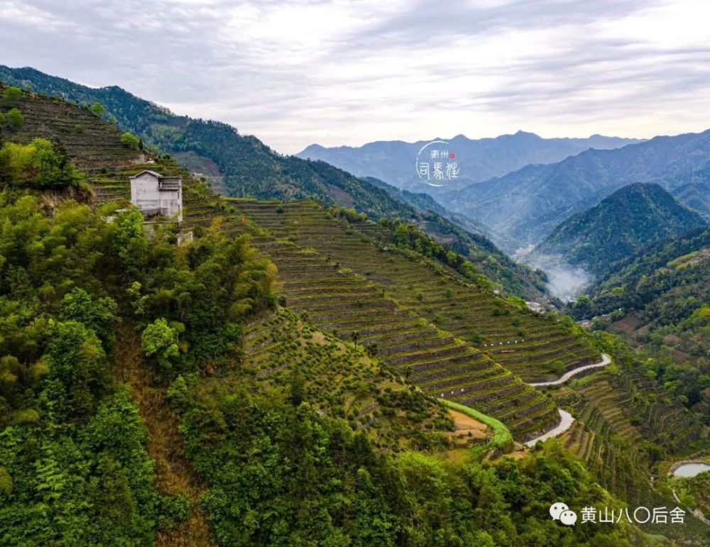 蜈蚣岭:敢叫日月换新天的歙南 高山千亩梯田