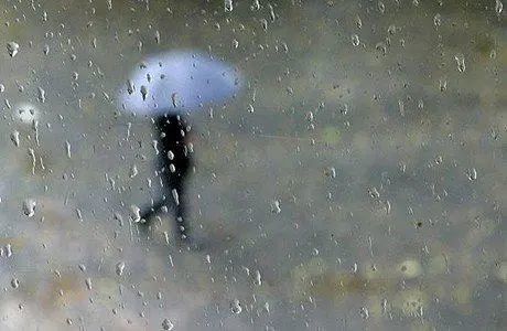 "原创"雨中泪