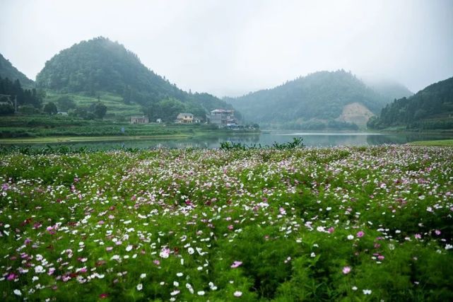 叙永县摩尼镇仙草湖,原名卫星水库,由于海拔关系,夏季的平均气温在26