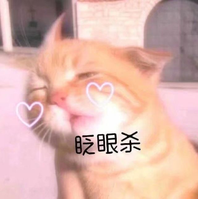 表情包"姐妹们!你们的小可爱来了!快进来"