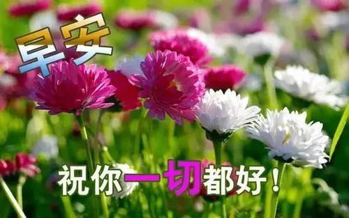 清晨早上好祝福朋友句子大全,群发早安问候图片带字