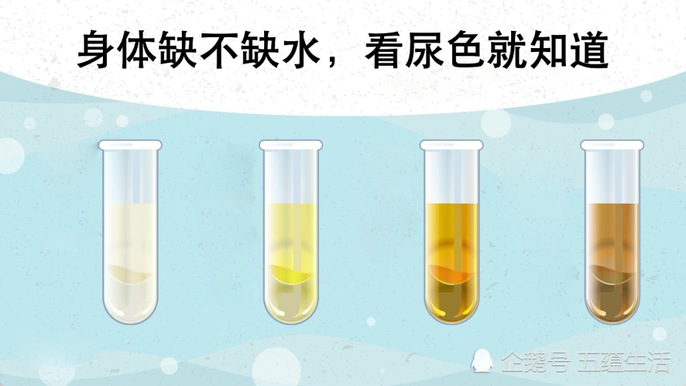 身体缺不缺水,看尿液颜色就知道!一个公式,算出你一天