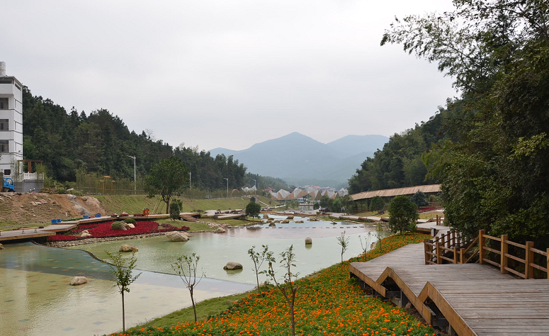 山风习习,溪水依依,雀鸟啾啾,竹林深深……如今,风景如画的湾里区