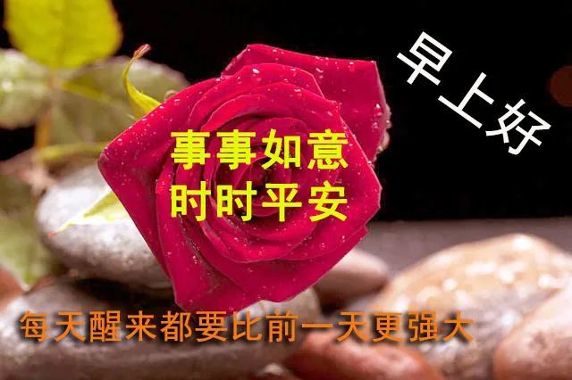 周一最新早上好动画漂亮表情图片 牛年大吉早安问候图片大全