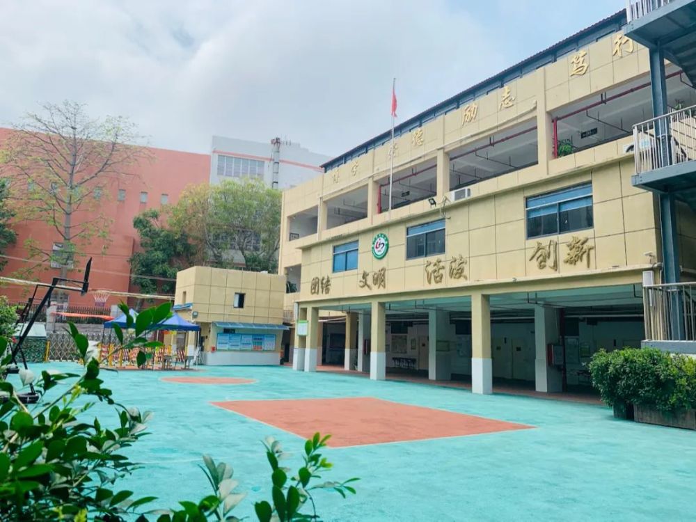 最近招2-6年级小学插班生的厦门民办学校,思明区湖里区的都有