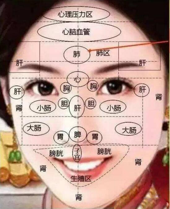 脸上长痘=脏器有病?看看你就知道了