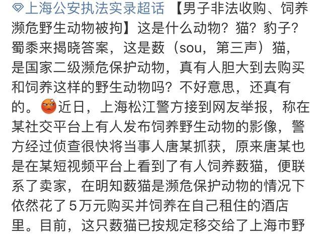 花5万养猫被刑拘，还惨遭猫暴打？原来这种猫如此危险，网友：抓你是保护你