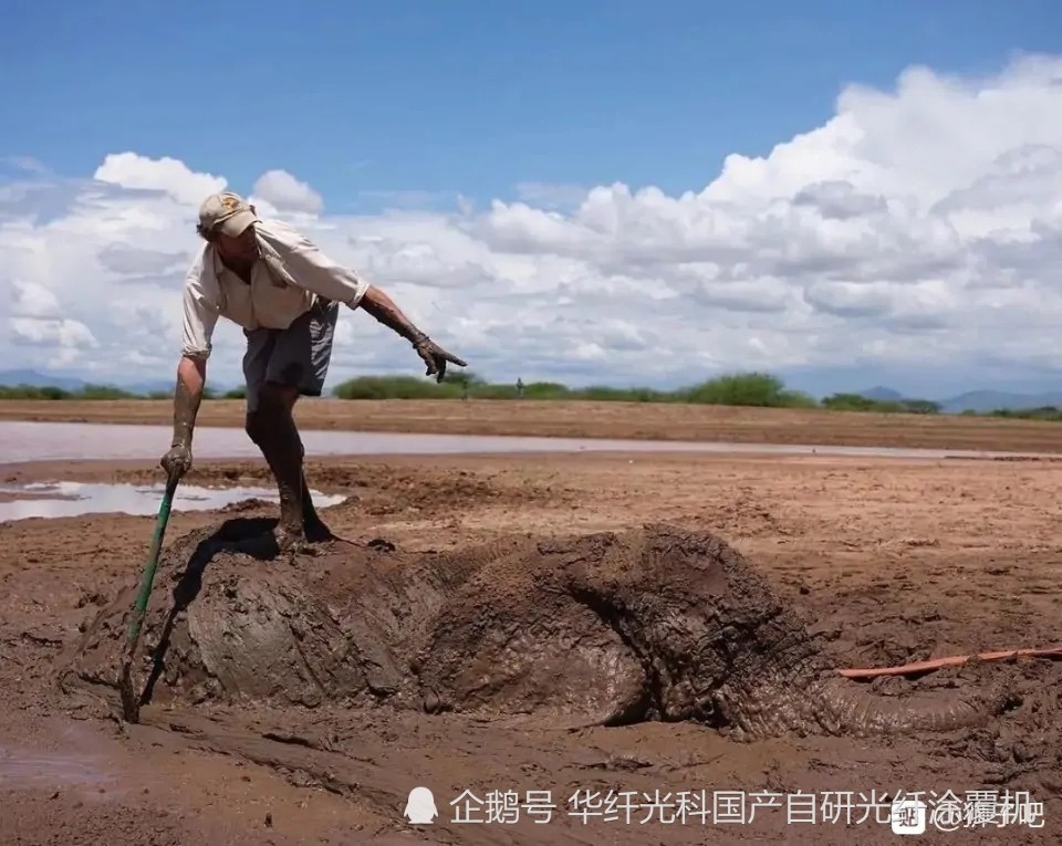 肯尼亚野生大象深陷泥潭无法自拔,牧民伸出援手