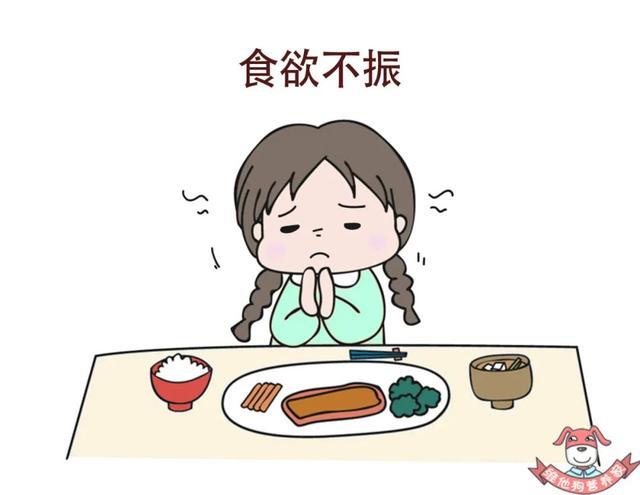 不长胖的夏日清爽菜谱来了！营养均衡身体无负担