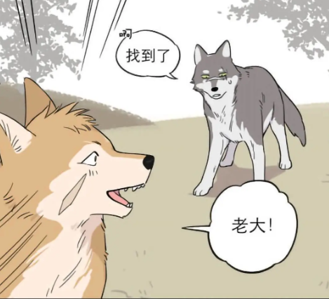 搞笑漫画狼王是狼群中最高的地位成为母狼的爱慕对象都想成为它的伴侣