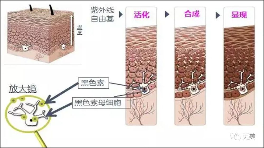 硬炒素颜人设却不敢卸妆，美得吃力的鞠婧祎到底在怕啥？