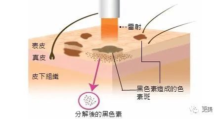 硬炒素颜人设却不敢卸妆，美得吃力的鞠婧祎到底在怕啥？