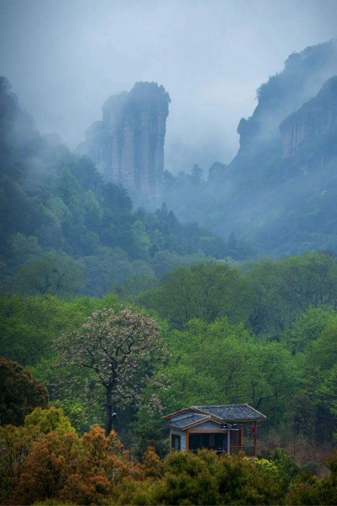 时值雨季,武夷山烟雨天美如画,分分钟撩到你!