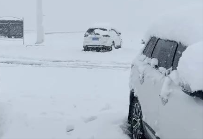 六月的新疆又双叒叕下雪了!