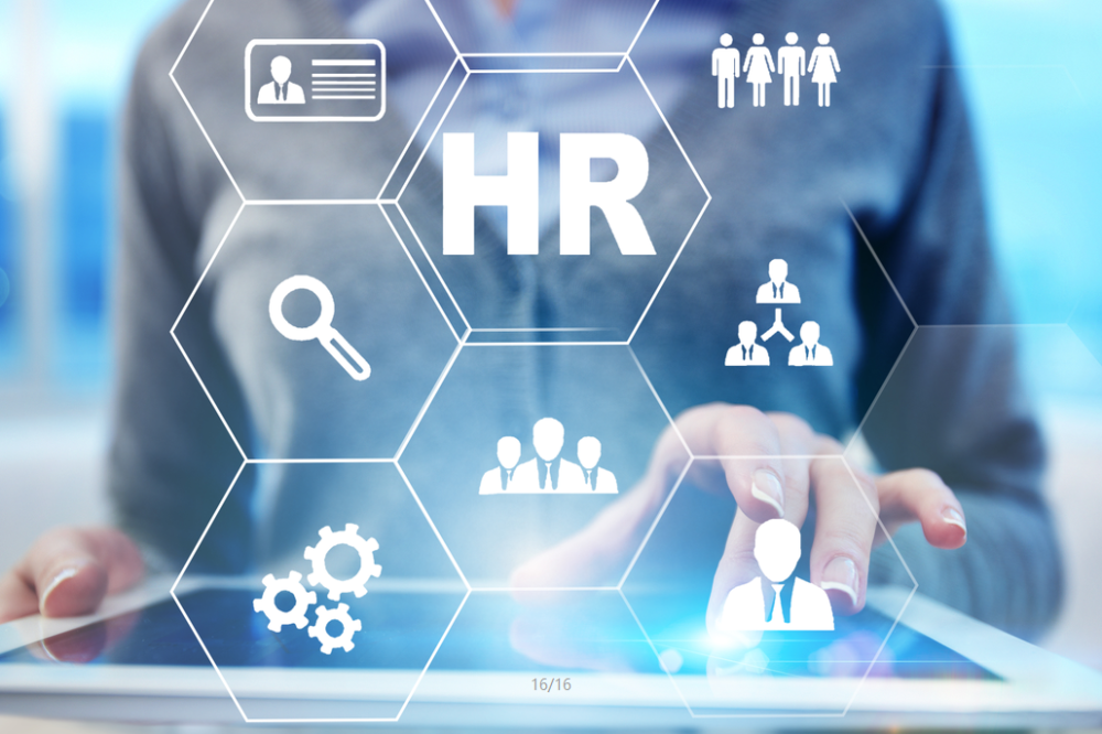 人力资源管理是属于什么类(人力资源管理是属于什么类的)