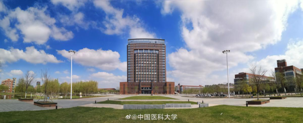 中国医科大学临床医学