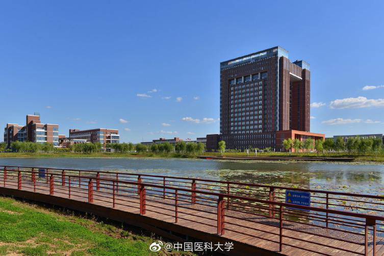 中国医科大学临床医学