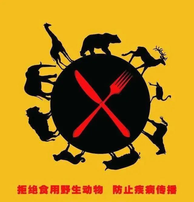 拒绝食用野生动物!贺州市持续开展野生动物清查行动!