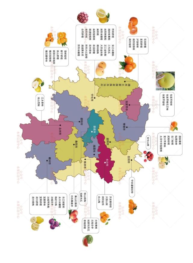 7万亿!(附13个省水果地图)