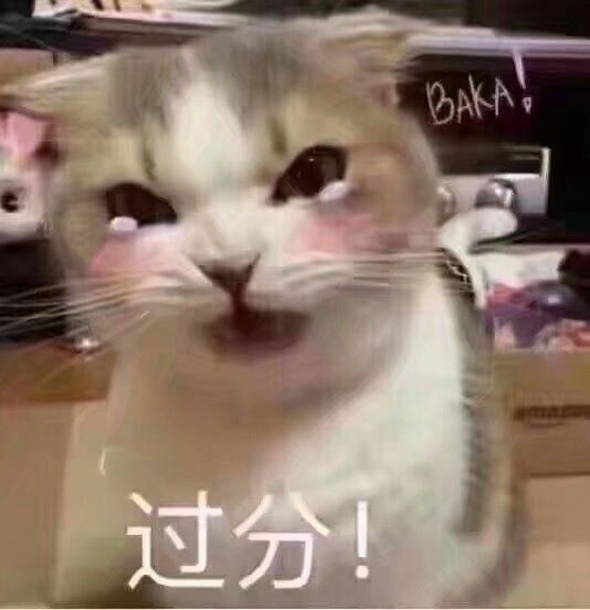 猫猫表情包来咯,我也要抱抱