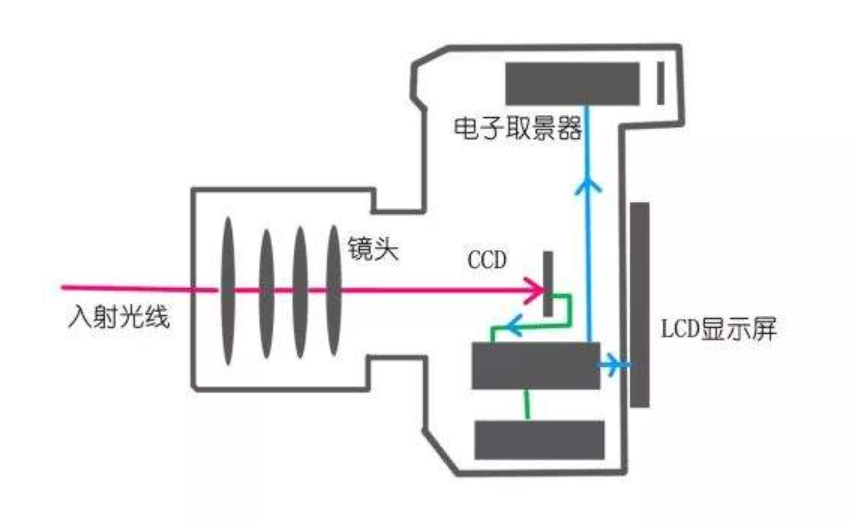 学摄影:如何选购一台适合你的数码相机,看这里,教会你