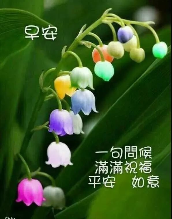 6月30日每日一条问候语