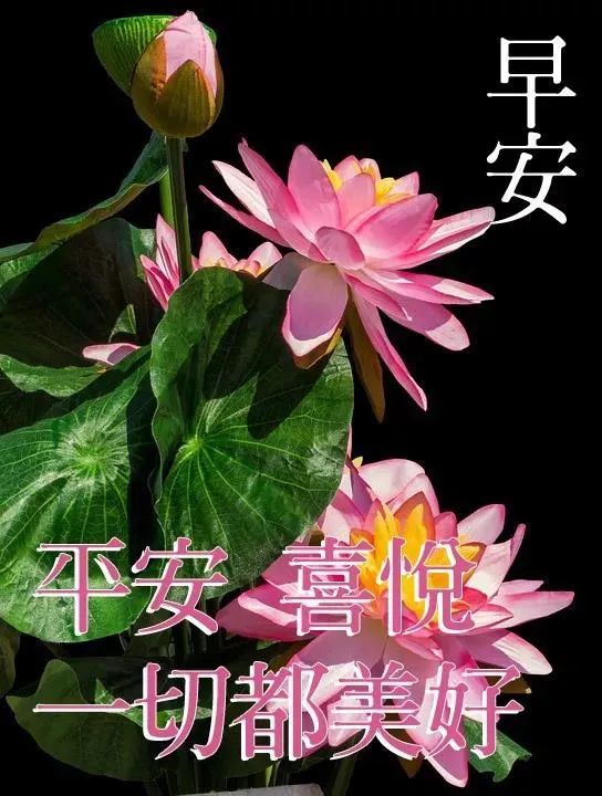 6月30日周二最新早上好问候动态表情图片早安图片表情祝福语录