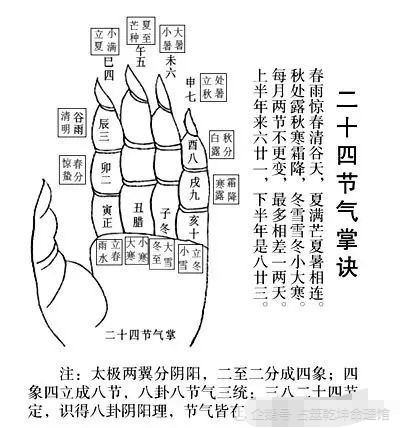 十二地支理论