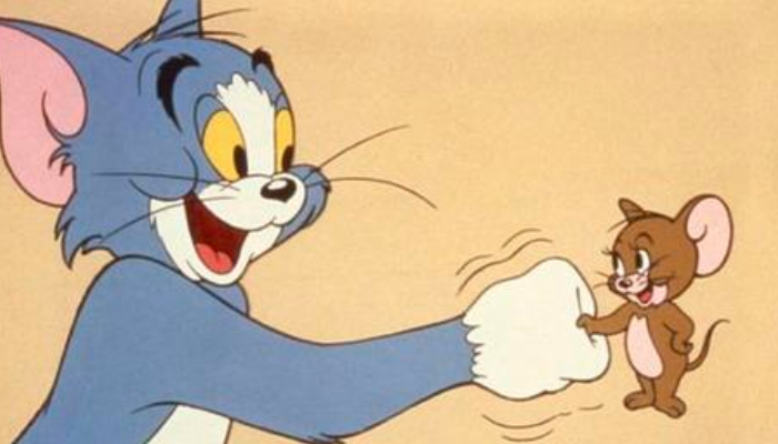 《猫和老鼠》并不是胡扯,现实中猫也不抓老鼠,真相就是这样
