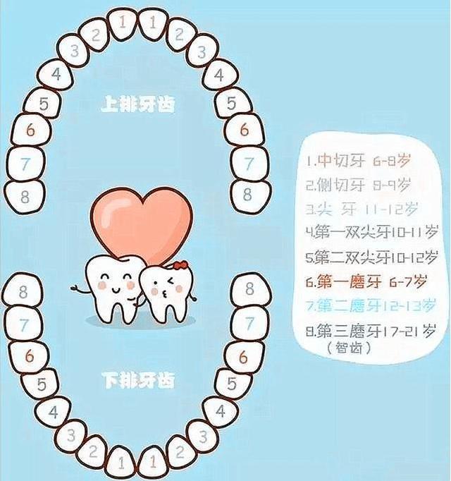 家长做好这3点,宝宝的恒牙不愁