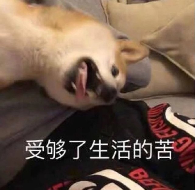 沙雕表情包l委屈巴巴