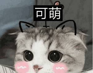 喵星人撒娇表情包没有男朋友慎入