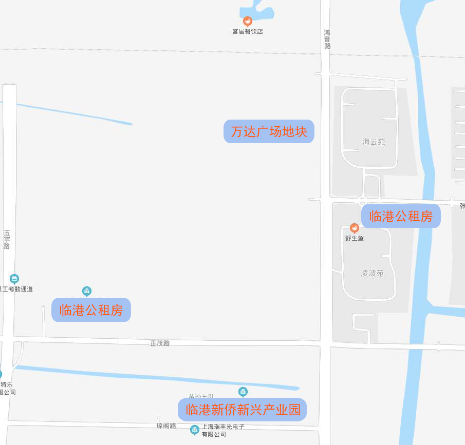 好消息！万达落户泥城，8.1亿元竞得这一地块