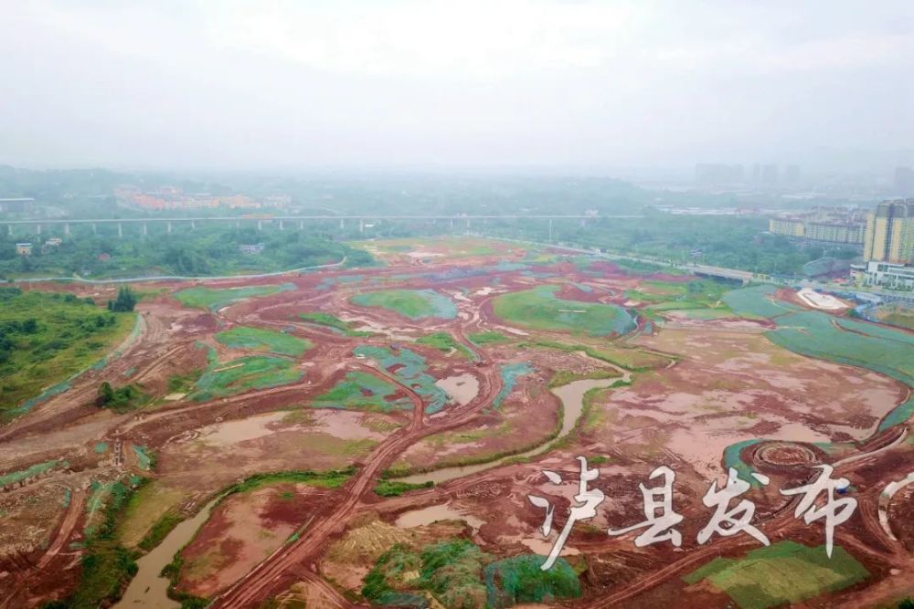 龙湖湿地公园 一直备受泸县人民的关注 近日 小编来到龙湖湿地公园