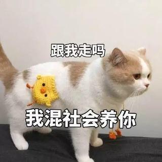 想要甜甜的恋爱,没有表情包怎么可以呢